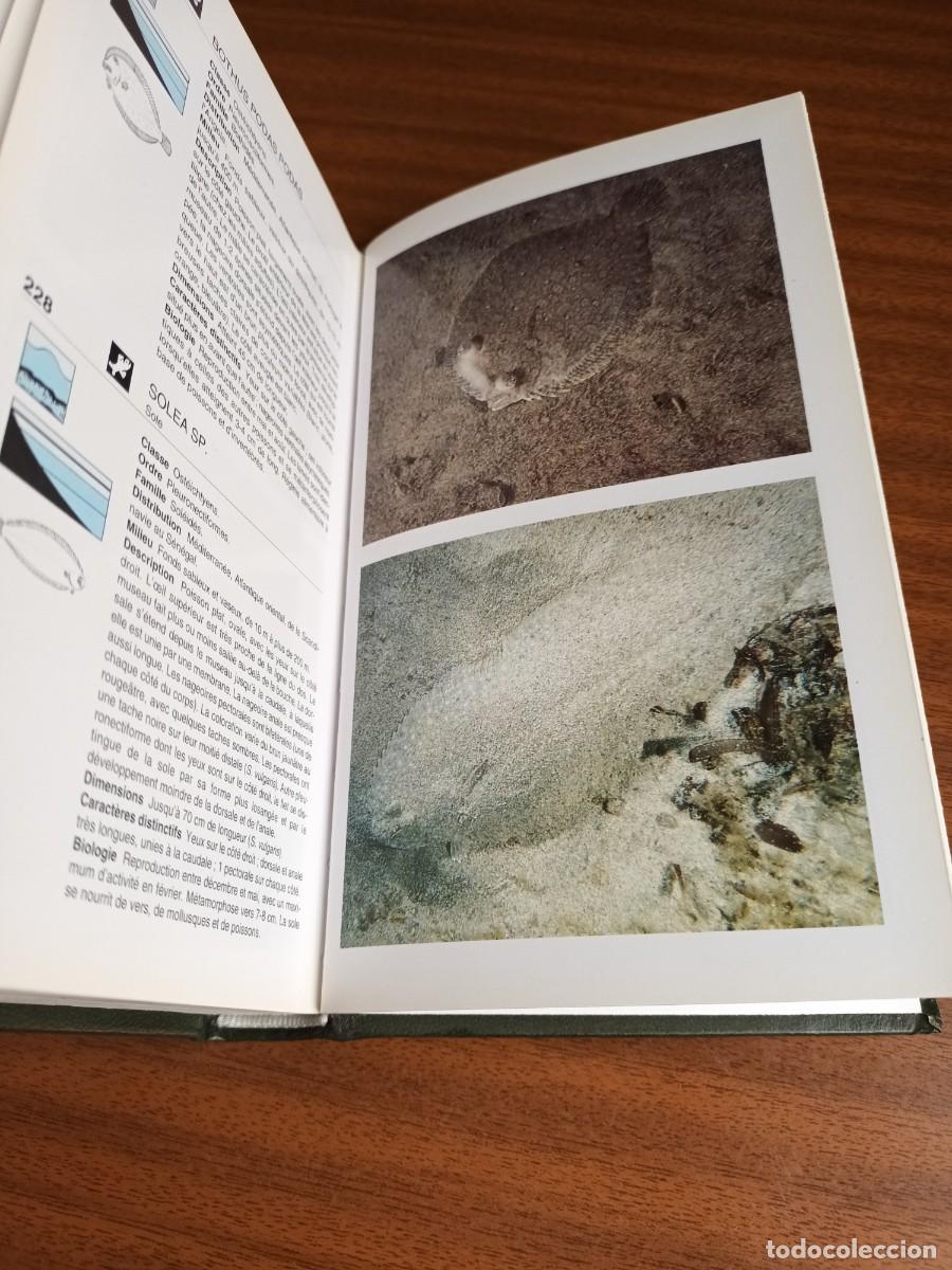 Libros de segunda mano: flore et faune de la M&eacute;diterran&eacute;e --- Mojetta, Ghisotti - Foto 9