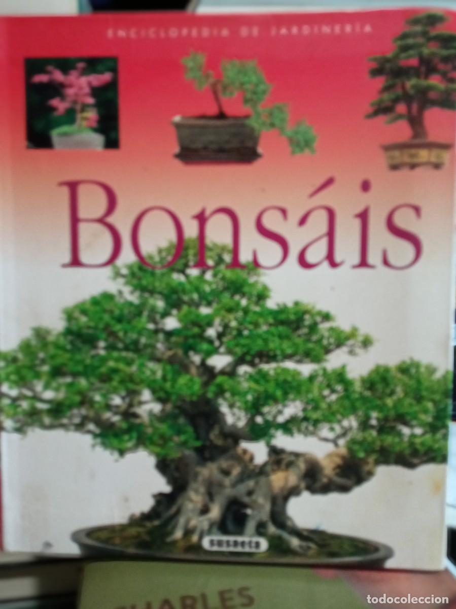Libros de segunda mano: bonsais ,editorial susaeta - Foto 1