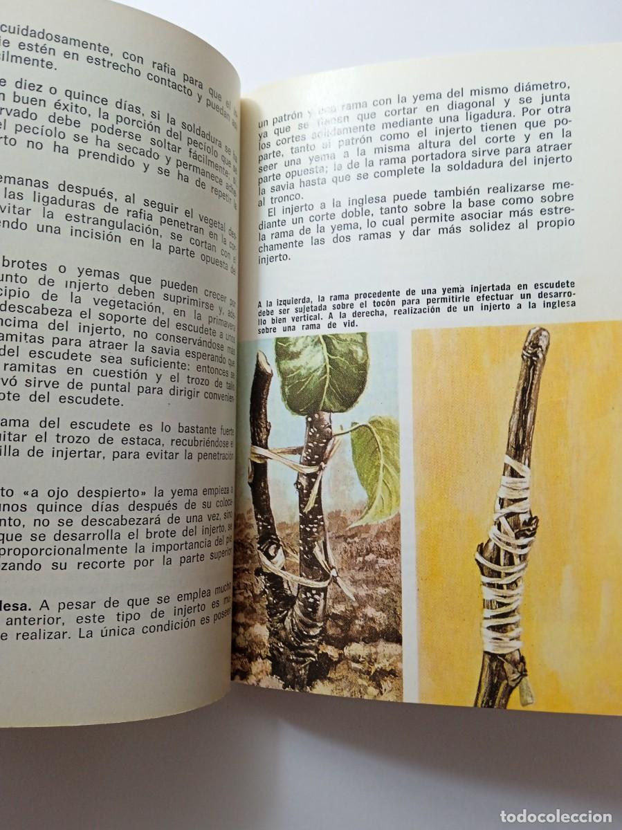 Libros de segunda mano: JARDINES - PIERRE ROCHE - EDICIONES DAIMON. MANUEL TAMAYO - 2&ordf; EDICI&Oacute;N 1973 - Foto 5