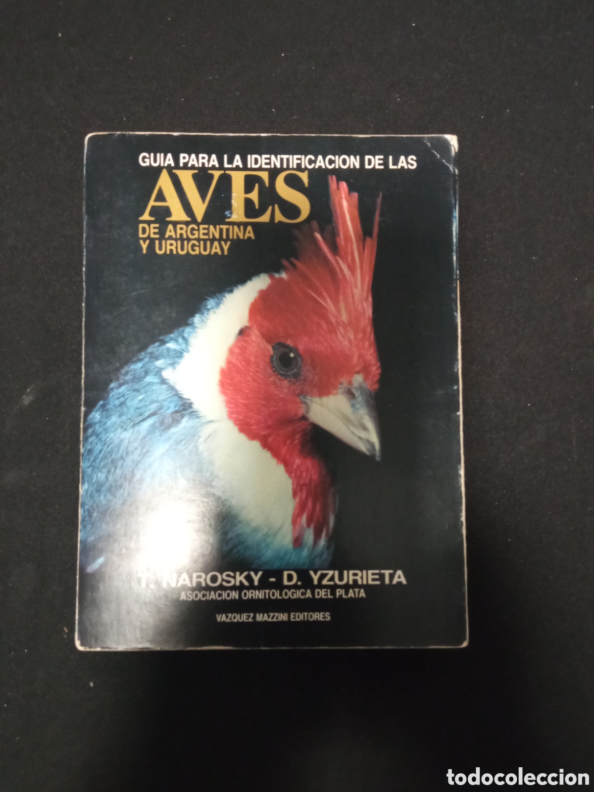 Libri di seconda mano: GUIA PARA LA IDENTIFICACION DE LAS A ES DE URUGUAY Y ARGENTINA