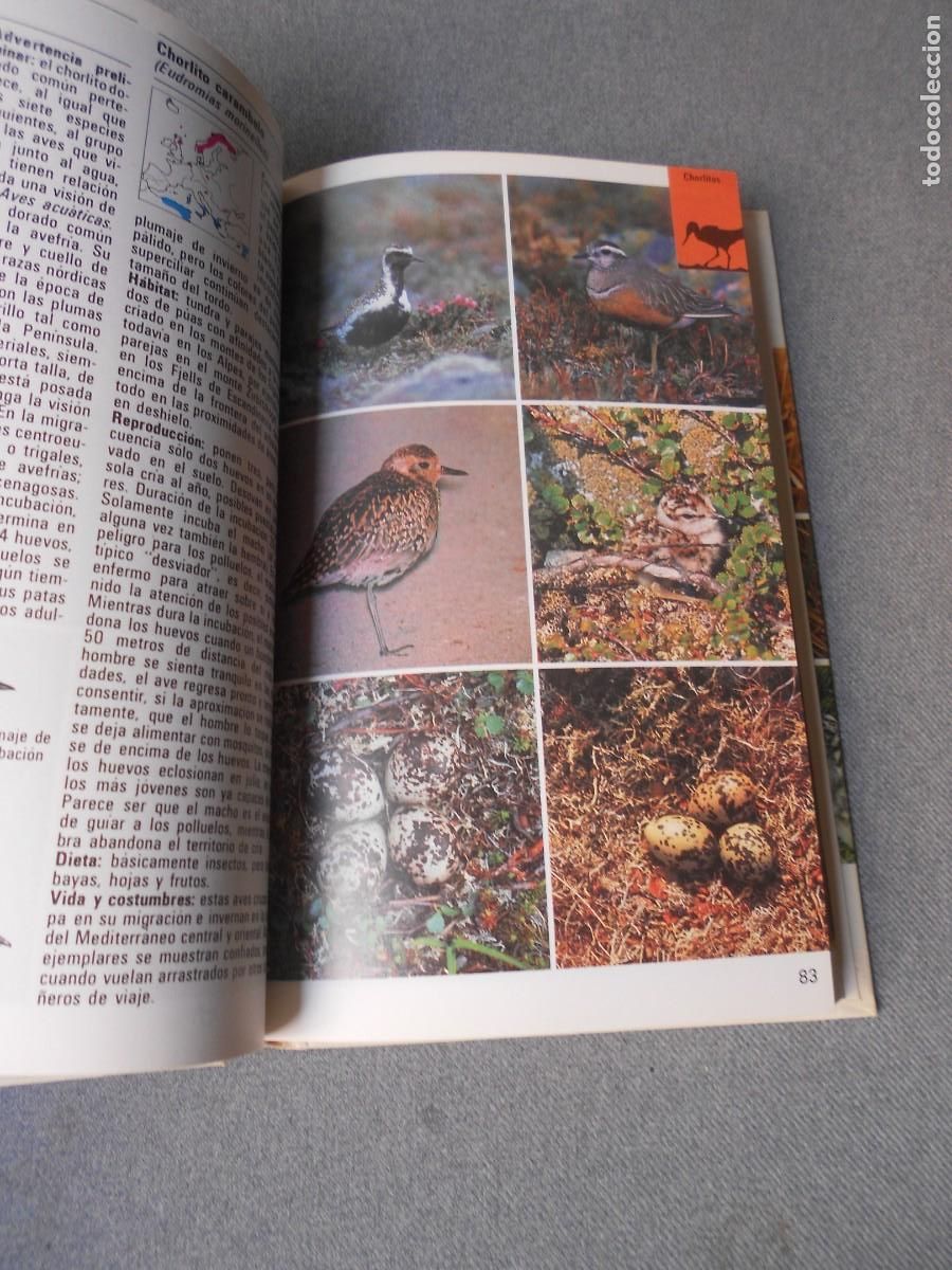Libros de segunda mano: AVES TERRESTRES. EDITORIAL BLUME. - Foto 4