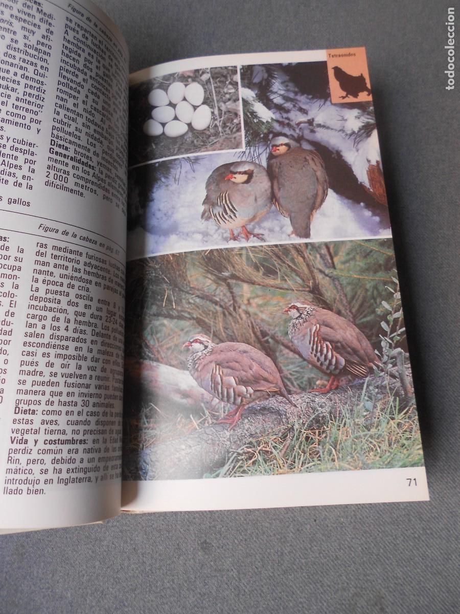 Libros de segunda mano: AVES TERRESTRES. EDITORIAL BLUME. - Foto 5