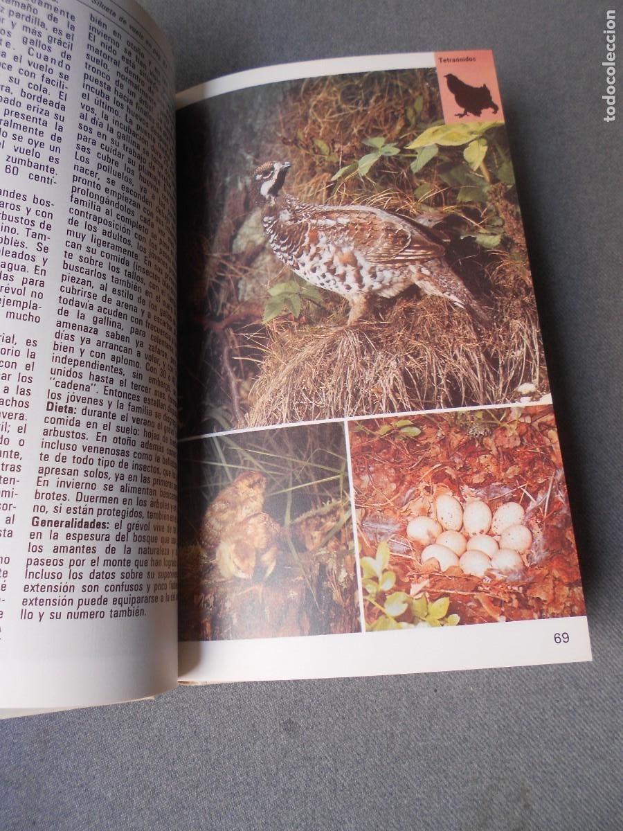 Libros de segunda mano: AVES TERRESTRES. EDITORIAL BLUME. - Foto 6