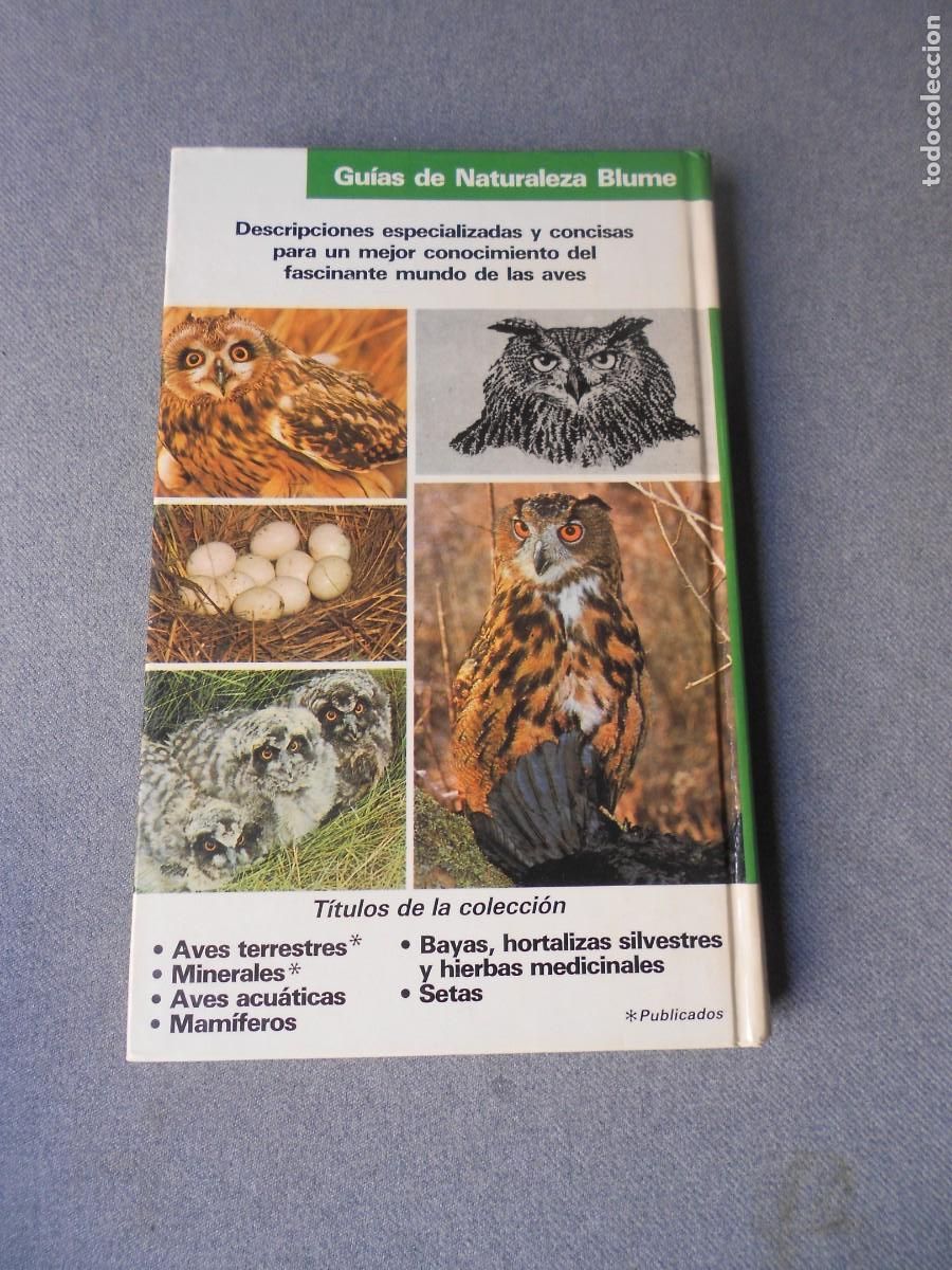 Libros de segunda mano: AVES TERRESTRES. EDITORIAL BLUME. - Foto 8