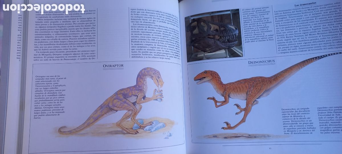 Libros de segunda mano: Tras las huellas de los dinosaurios Michael J. Benton C&iacute;rculo de Lectores 1991 - Foto 2