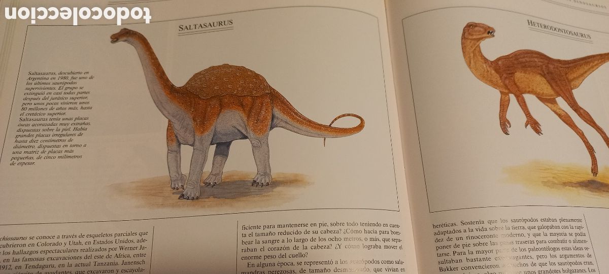 Libros de segunda mano: Tras las huellas de los dinosaurios Michael J. Benton C&iacute;rculo de Lectores 1991 - Foto 5