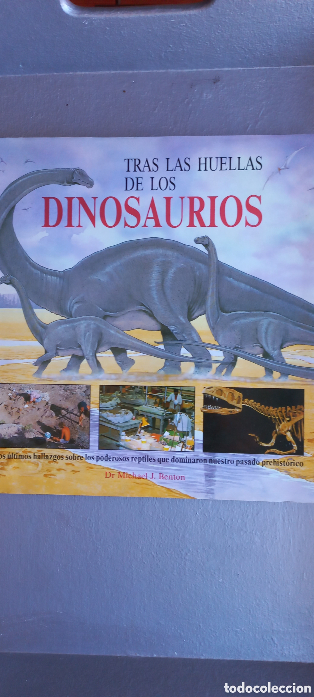Libros de segunda mano: Tras las huellas de los dinosaurios Michael J. Benton C&iacute;rculo de Lectores 1991 - Foto 1
