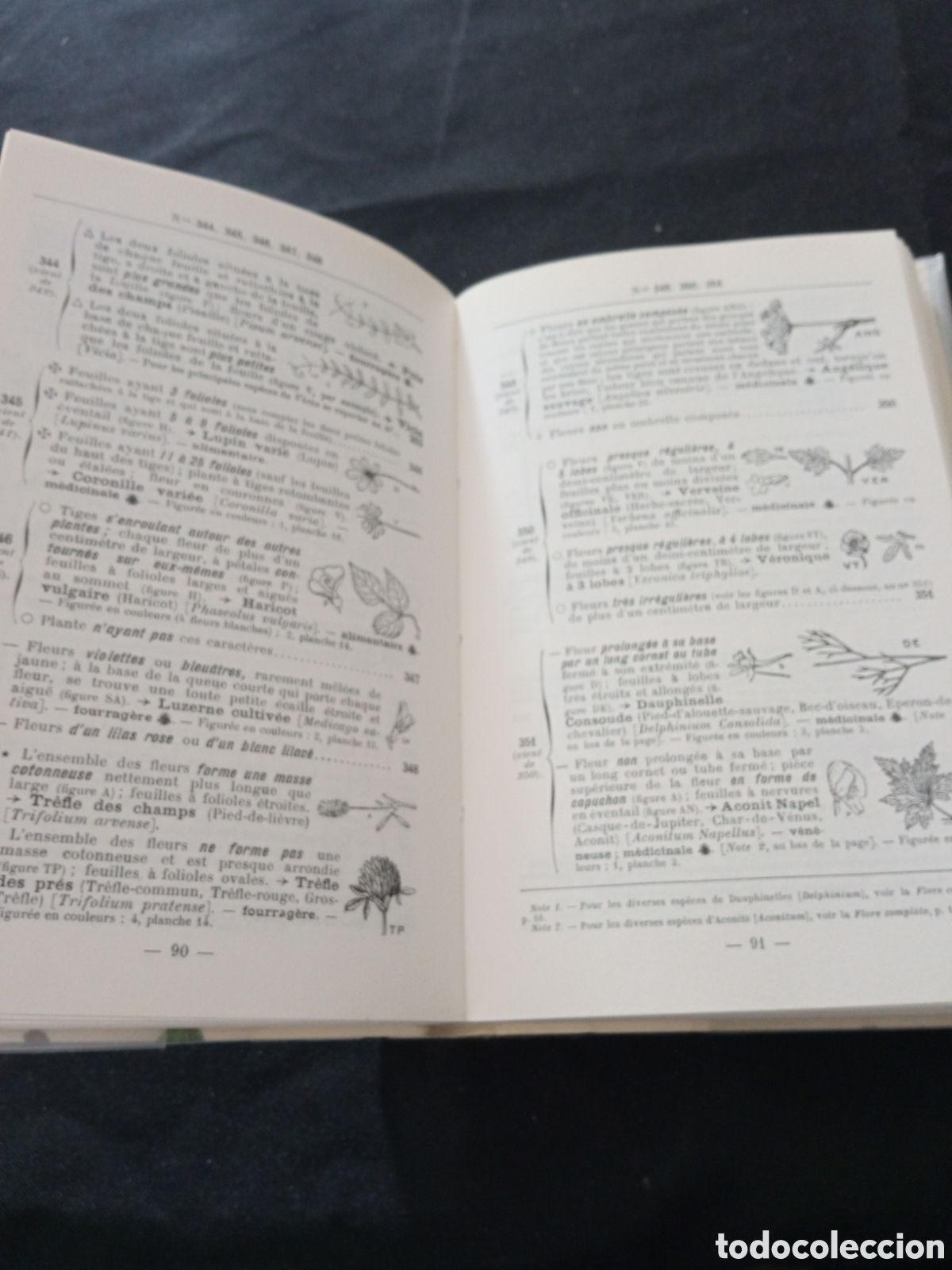 Libros de segunda mano: LES NOMS DES FLEURS IDIOMA FRANC&Eacute;S - Foto 2