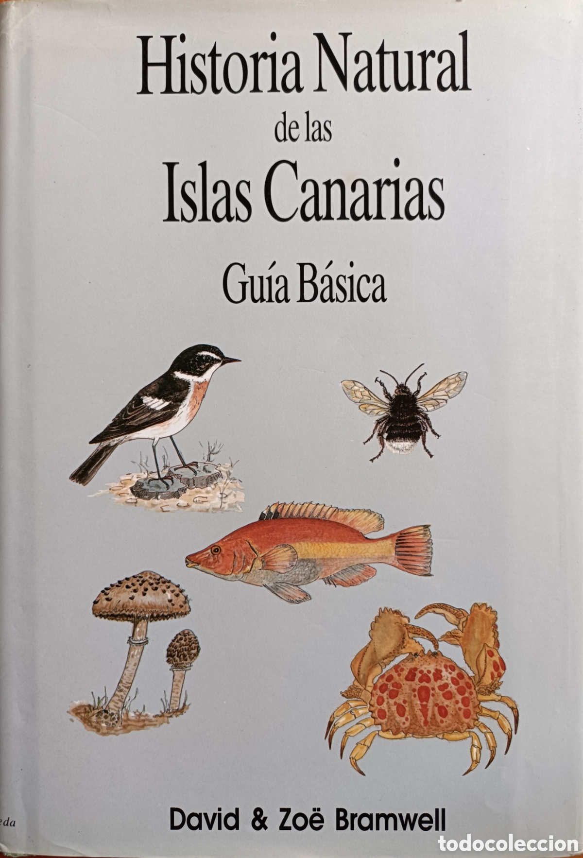 Libros de segunda mano: HISTORIA NATURAL DE LAS ISLAS CANARIAS. GUIA BASICA - Foto 1
