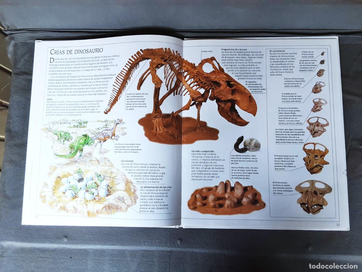 Libros de segunda mano: TRICERATOPS PLAZA JOVEN - Foto 11