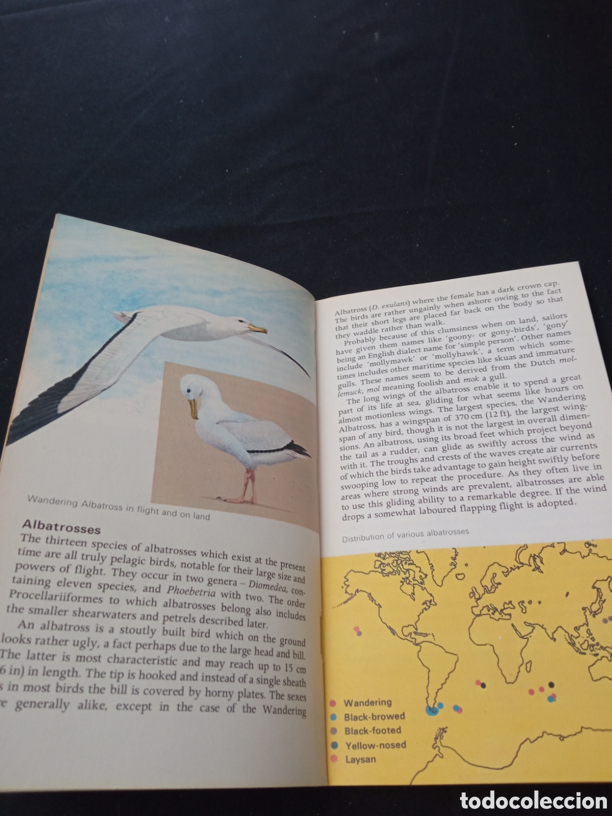 Libros de segunda mano: SEABIRDS - DAVID SAUNDERS - Foto 2