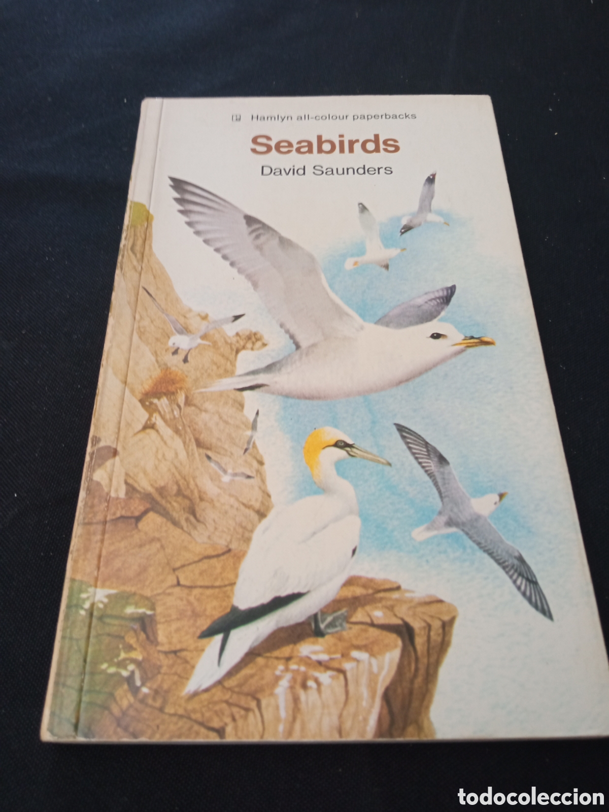 Libros de segunda mano: SEABIRDS - DAVID SAUNDERS - Foto 1