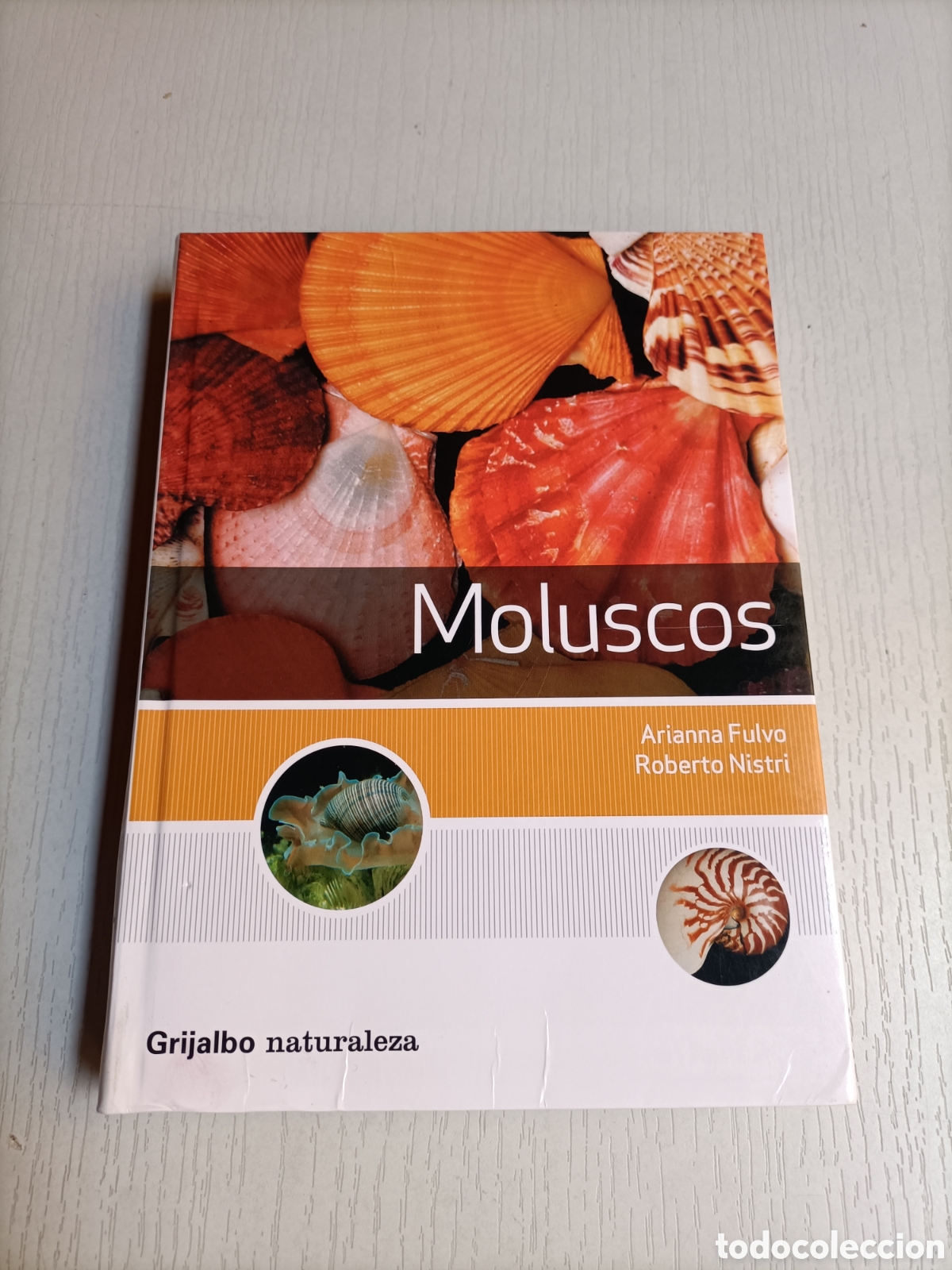Libros de segunda mano: Moluscos. Arianna Fulvo. Roberto Nistri - Foto 2