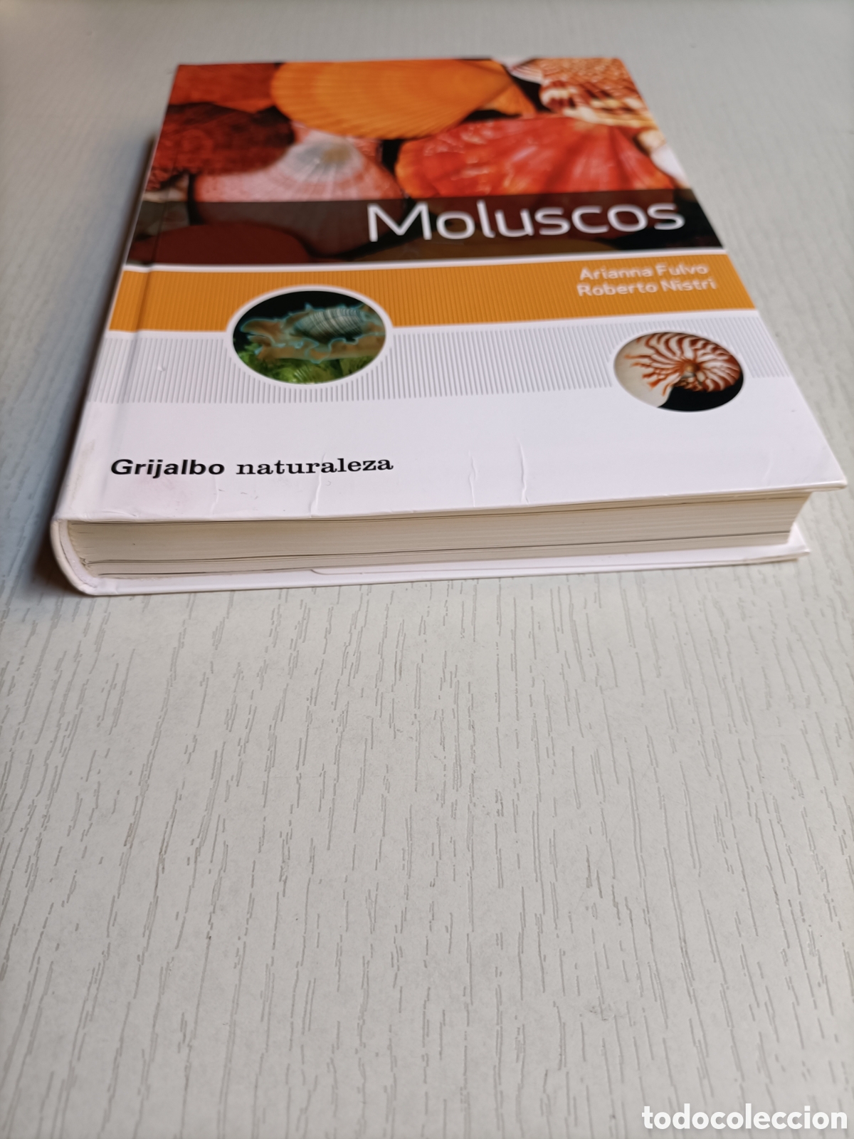 Libros de segunda mano: Moluscos. Arianna Fulvo. Roberto Nistri - Foto 3