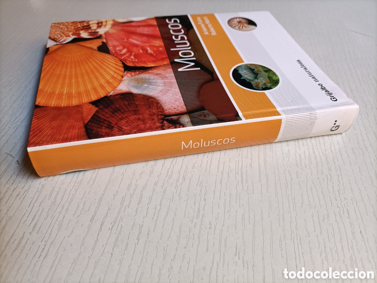 Libros de segunda mano: Moluscos. Arianna Fulvo. Roberto Nistri - Foto 4