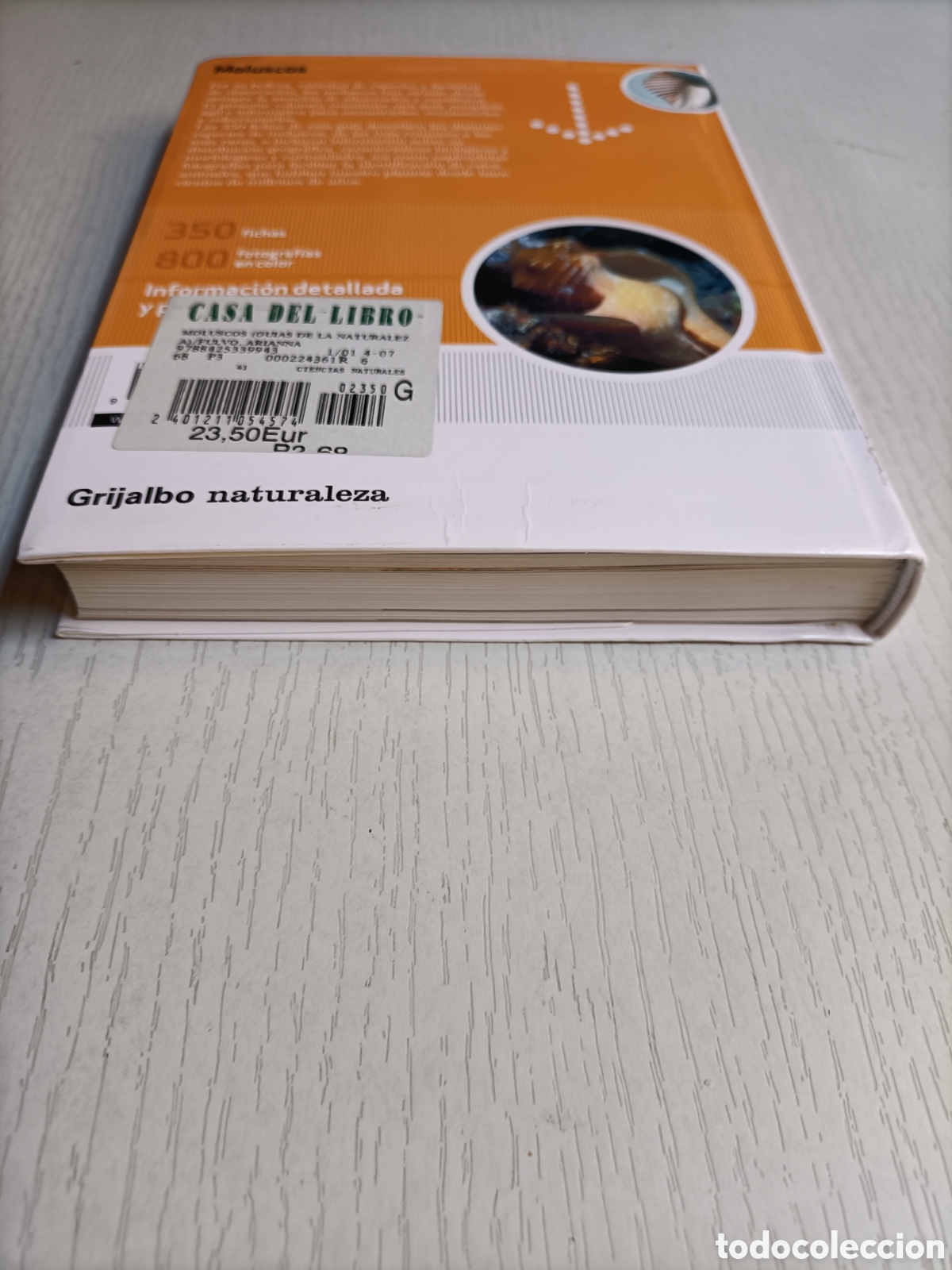 Libros de segunda mano: Moluscos. Arianna Fulvo. Roberto Nistri - Foto 7