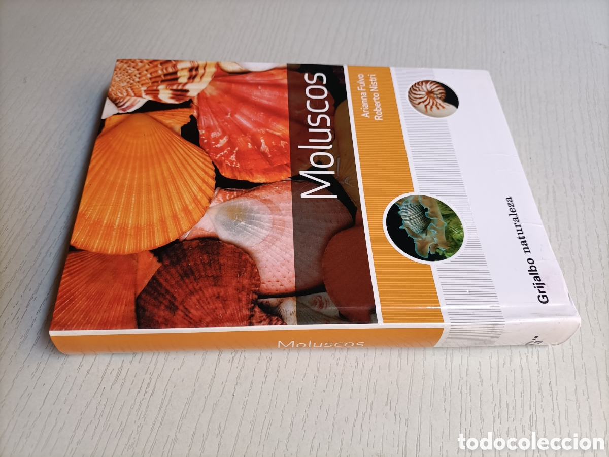 Libros de segunda mano: Moluscos. Arianna Fulvo. Roberto Nistri - Foto 1
