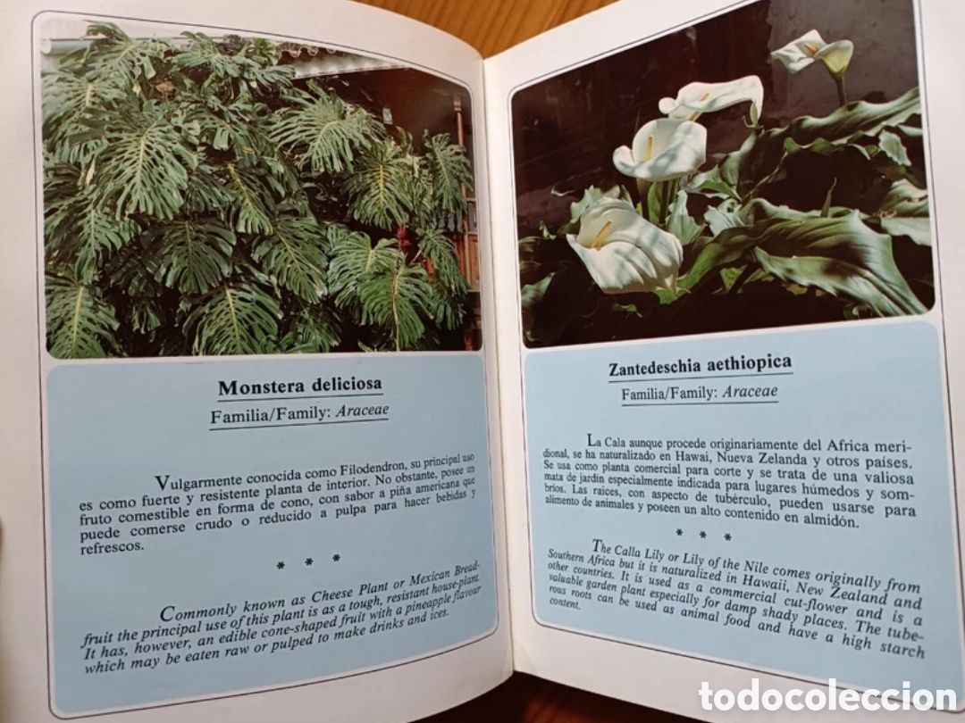 Libros de segunda mano: Jardines de Canarias III - Foto 2