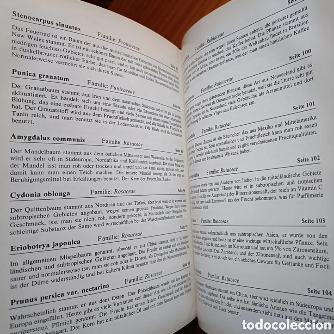 Libros de segunda mano: Jardines de Canarias III - Foto 3