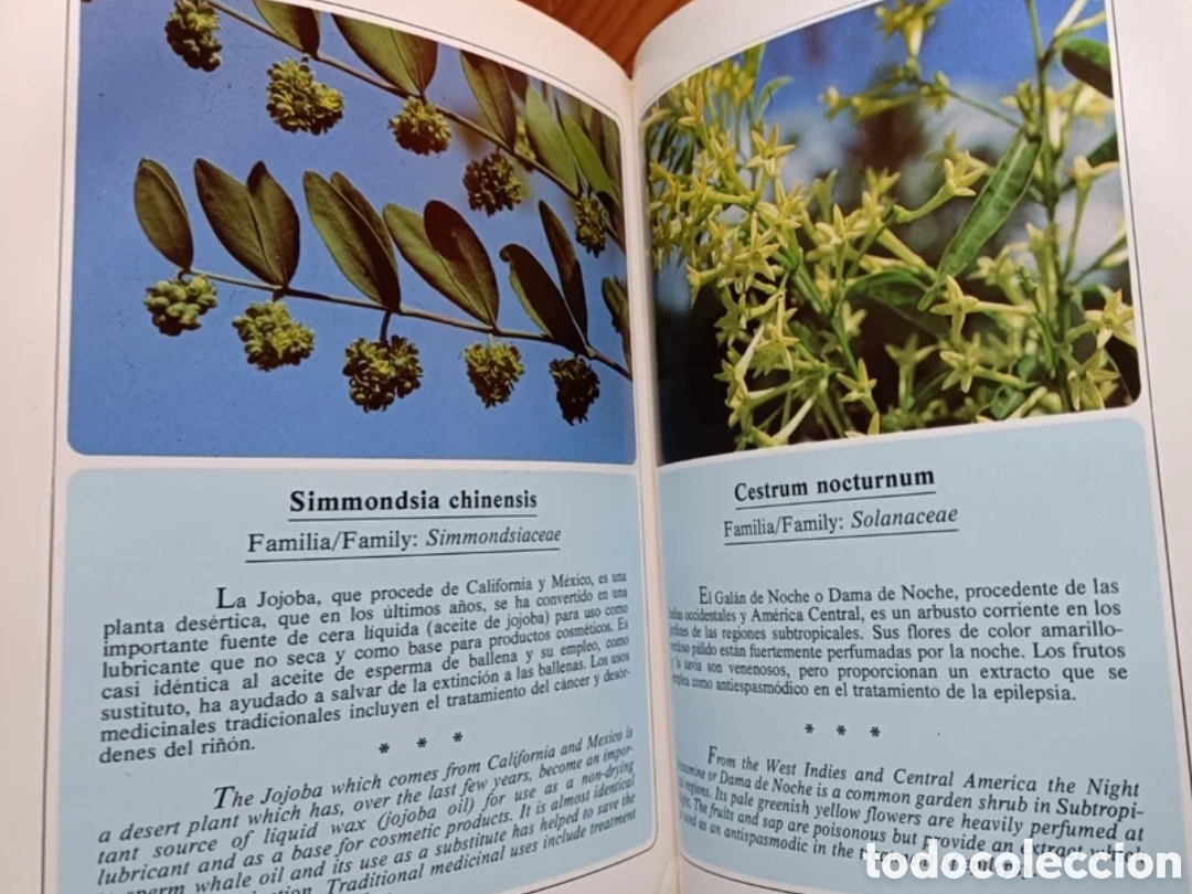 Libros de segunda mano: Jardines de Canarias III - Foto 4