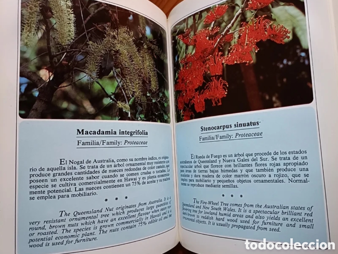Libros de segunda mano: Jardines de Canarias III - Foto 5