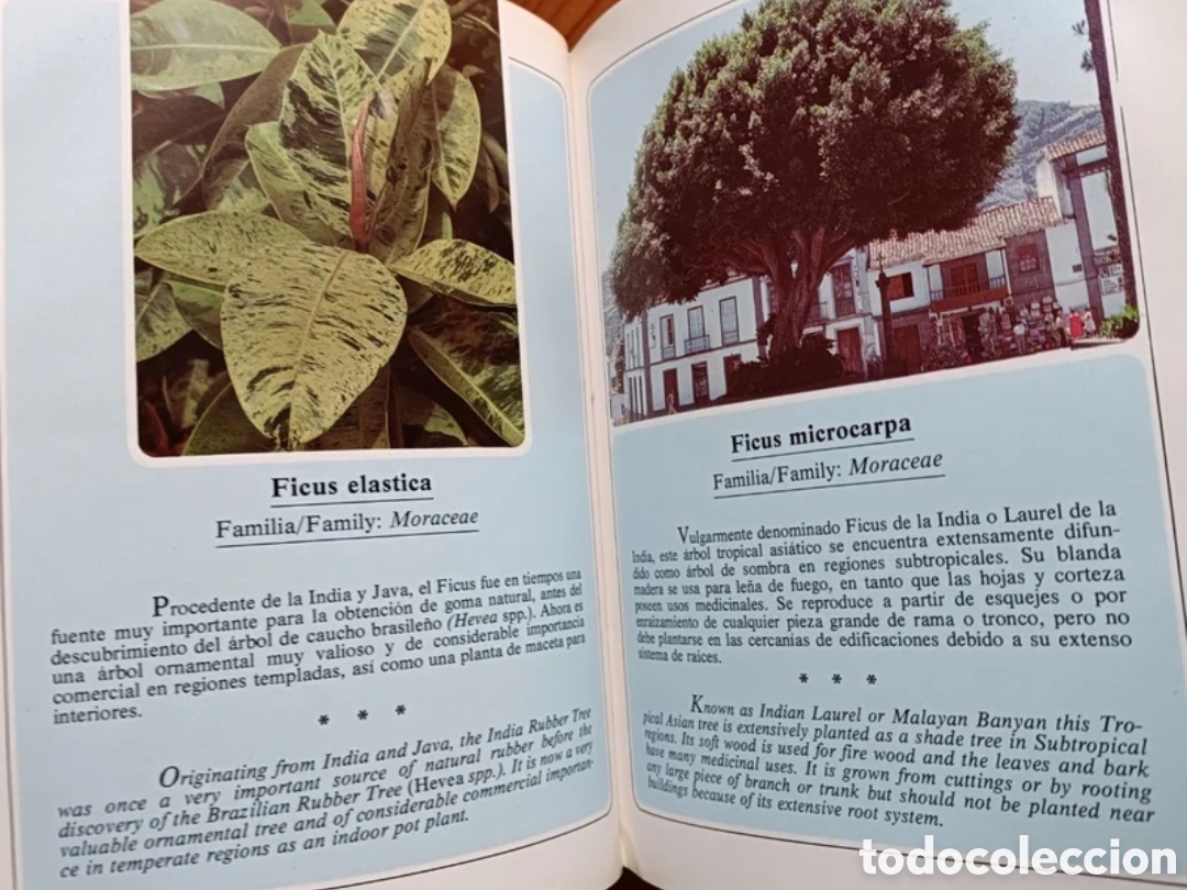 Libros de segunda mano: Jardines de Canarias III - Foto 7