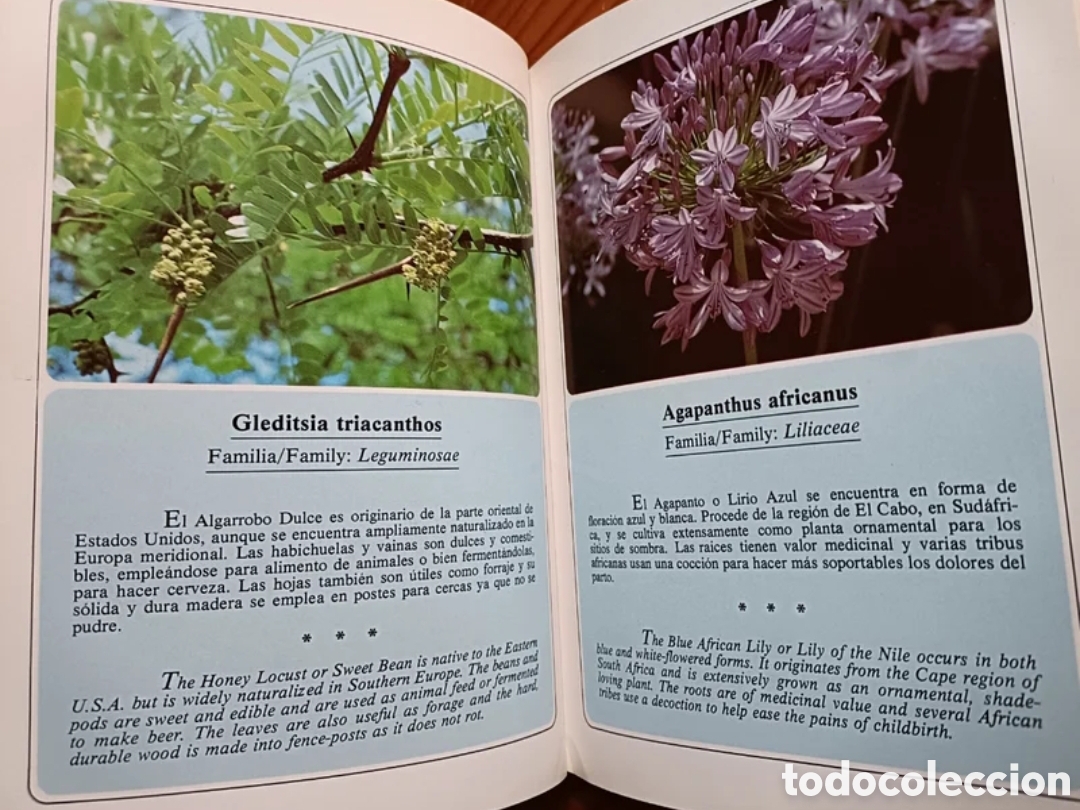 Libros de segunda mano: Jardines de Canarias III - Foto 8