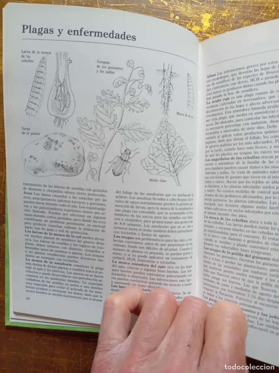 Libros de segunda mano: Los secretos del huerto 1996 ediciones Folio - Foto 5