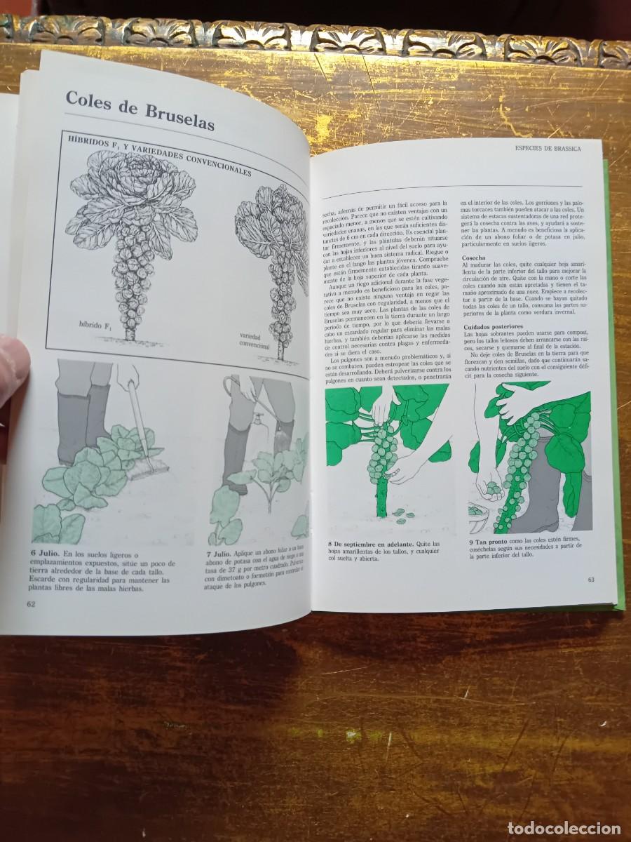 Libros de segunda mano: Los secretos del huerto 1996 ediciones Folio - Foto 6
