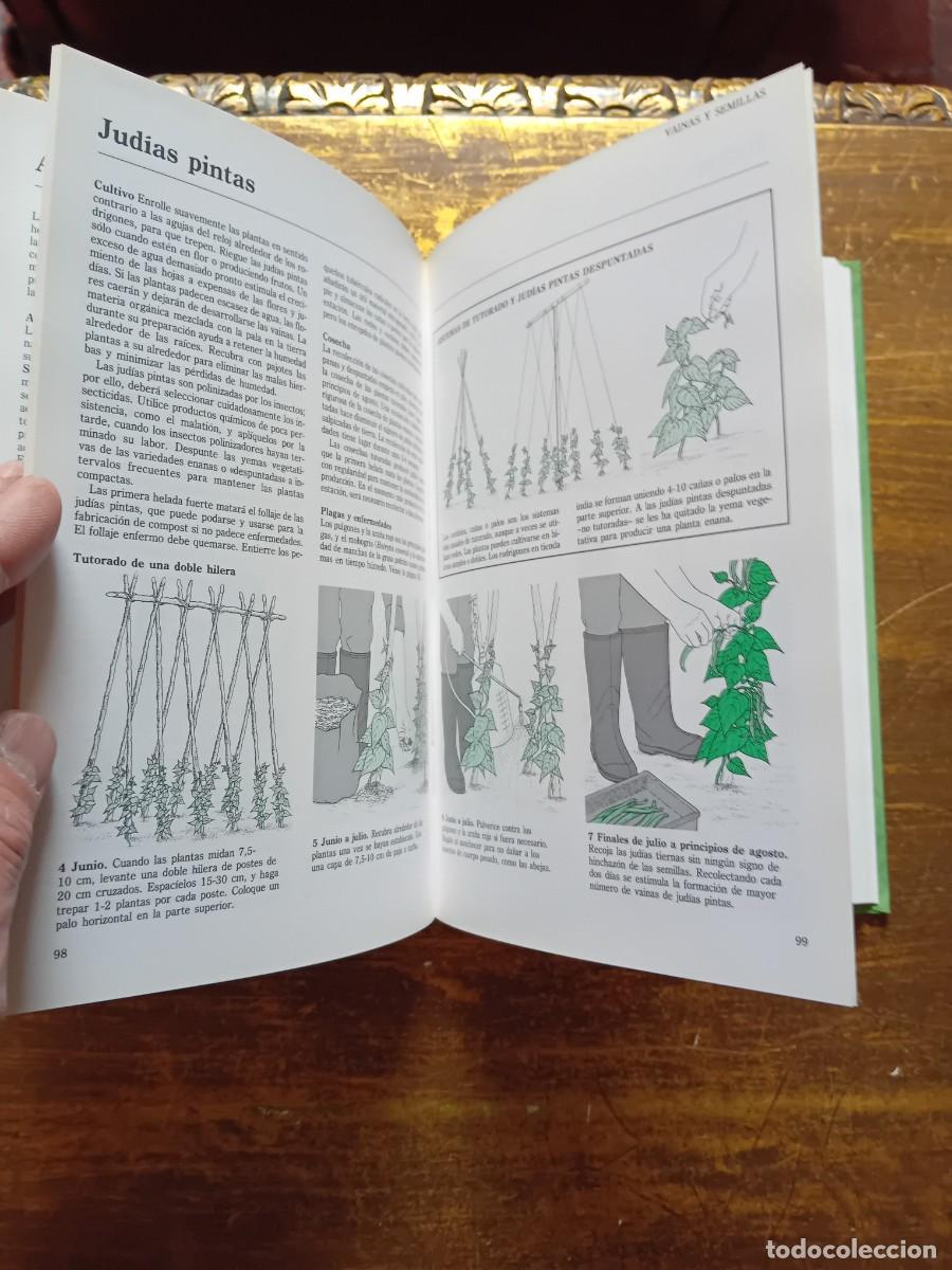 Libros de segunda mano: Los secretos del huerto 1996 ediciones Folio - Foto 7