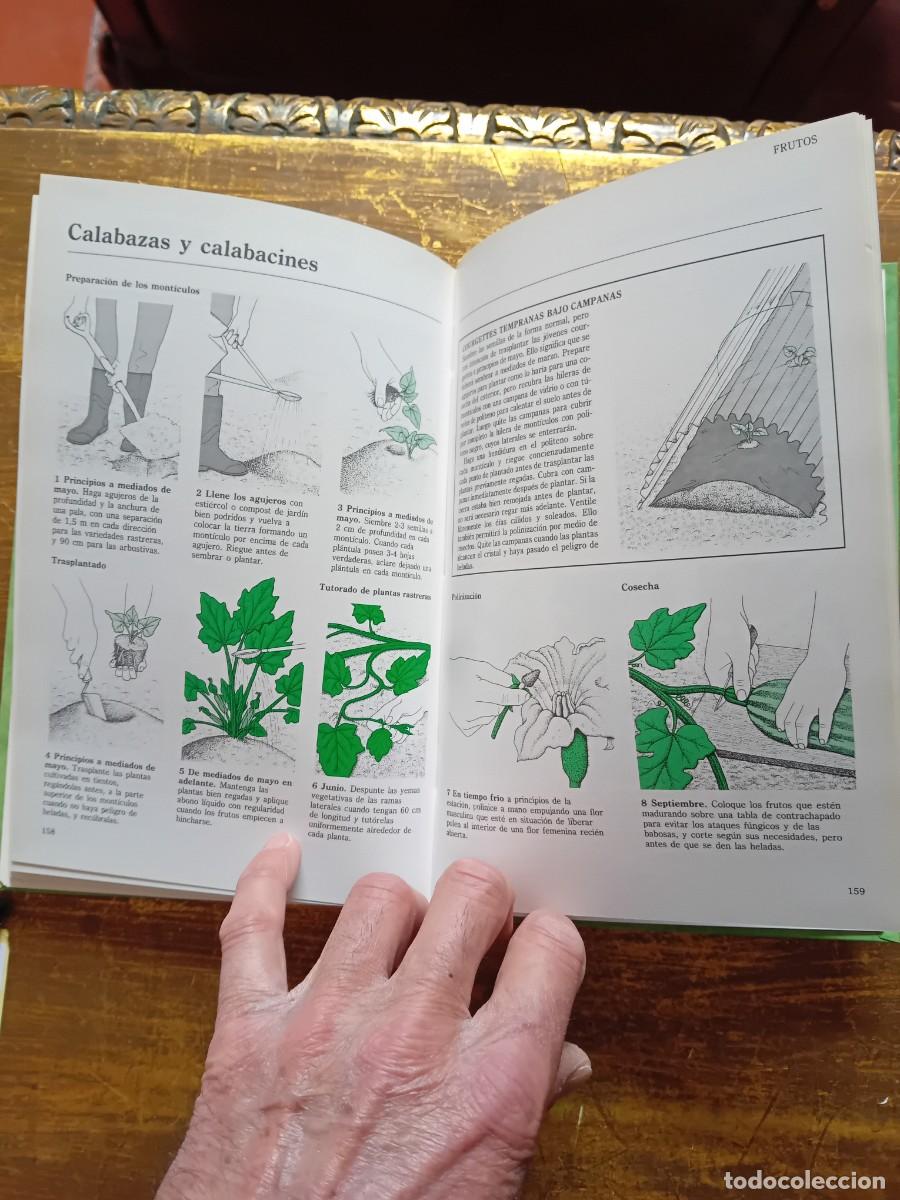 Libros de segunda mano: Los secretos del huerto 1996 ediciones Folio - Foto 8