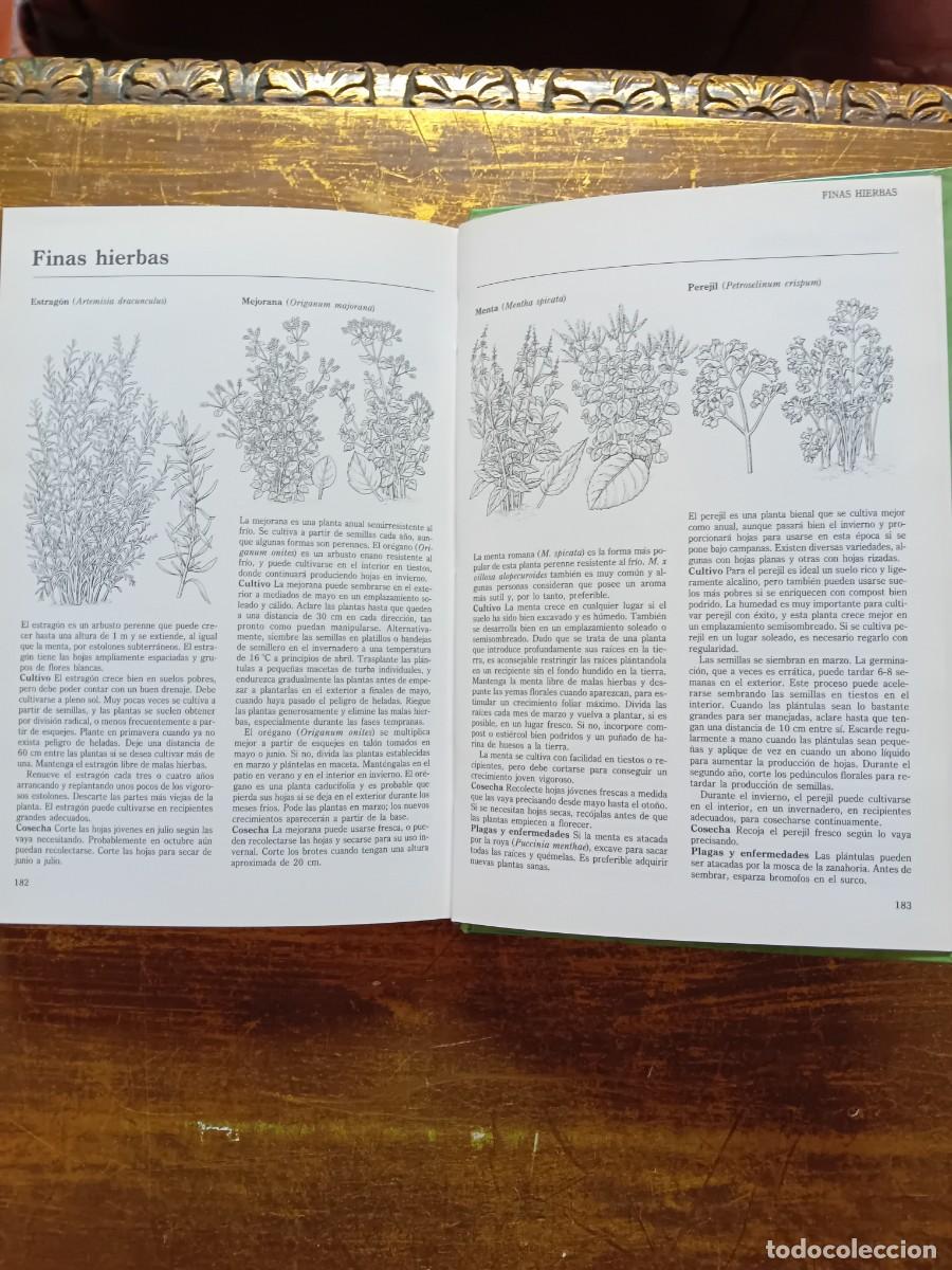 Libros de segunda mano: Los secretos del huerto 1996 ediciones Folio - Foto 9