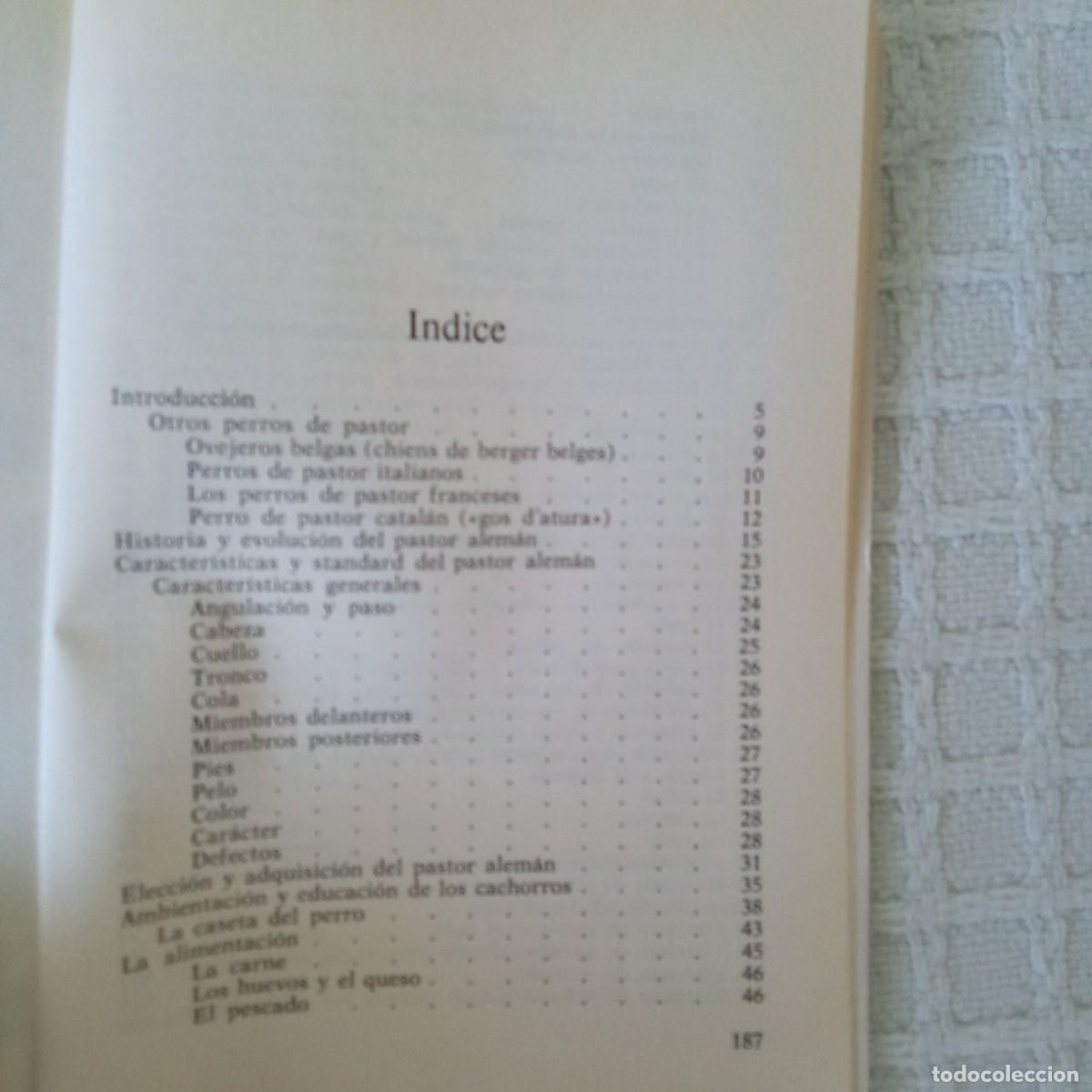 Libros de segunda mano: El Pastor Alem&aacute;n Francisco Sagues Martin, Pacheco - Foto 2