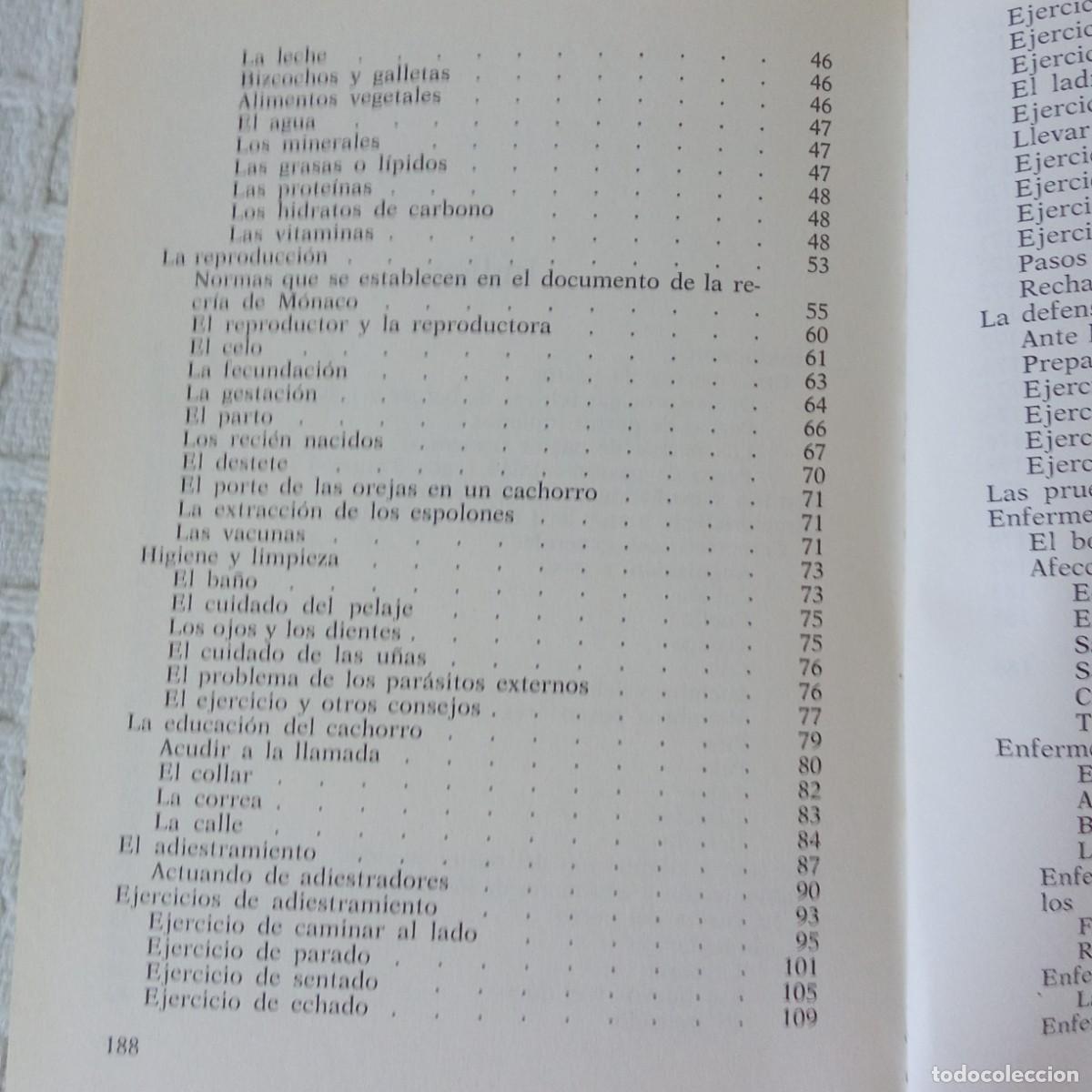 Libros de segunda mano: El Pastor Alem&aacute;n Francisco Sagues Martin, Pacheco - Foto 3