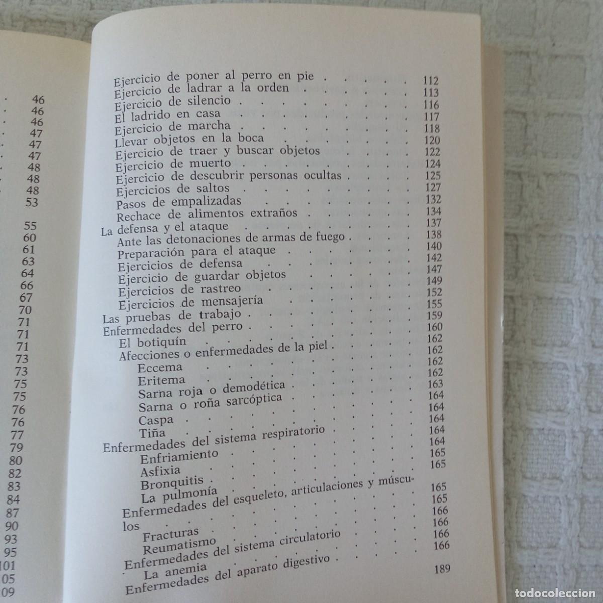 Libros de segunda mano: El Pastor Alem&aacute;n Francisco Sagues Martin, Pacheco - Foto 4