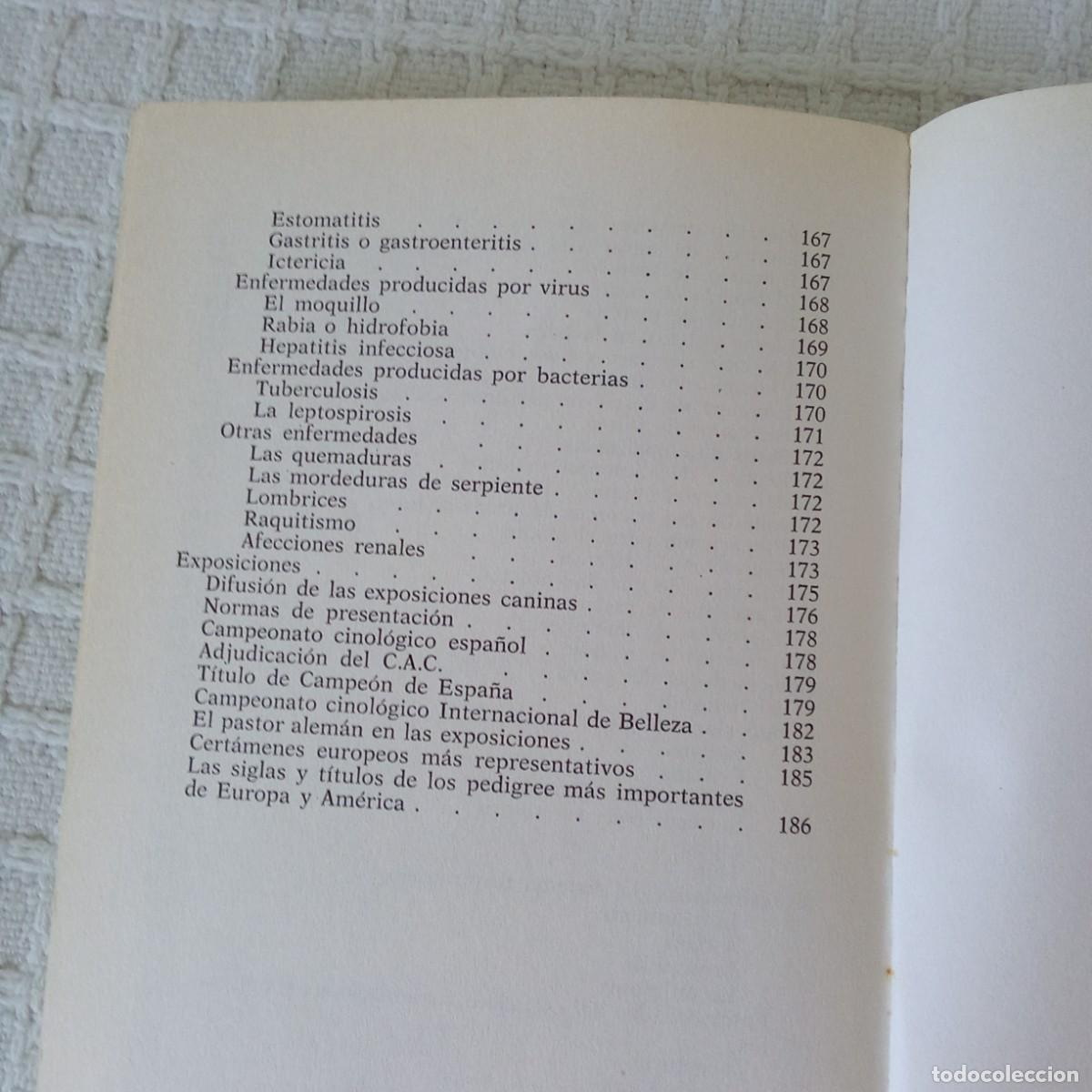 Libros de segunda mano: El Pastor Alem&aacute;n Francisco Sagues Martin, Pacheco - Foto 5