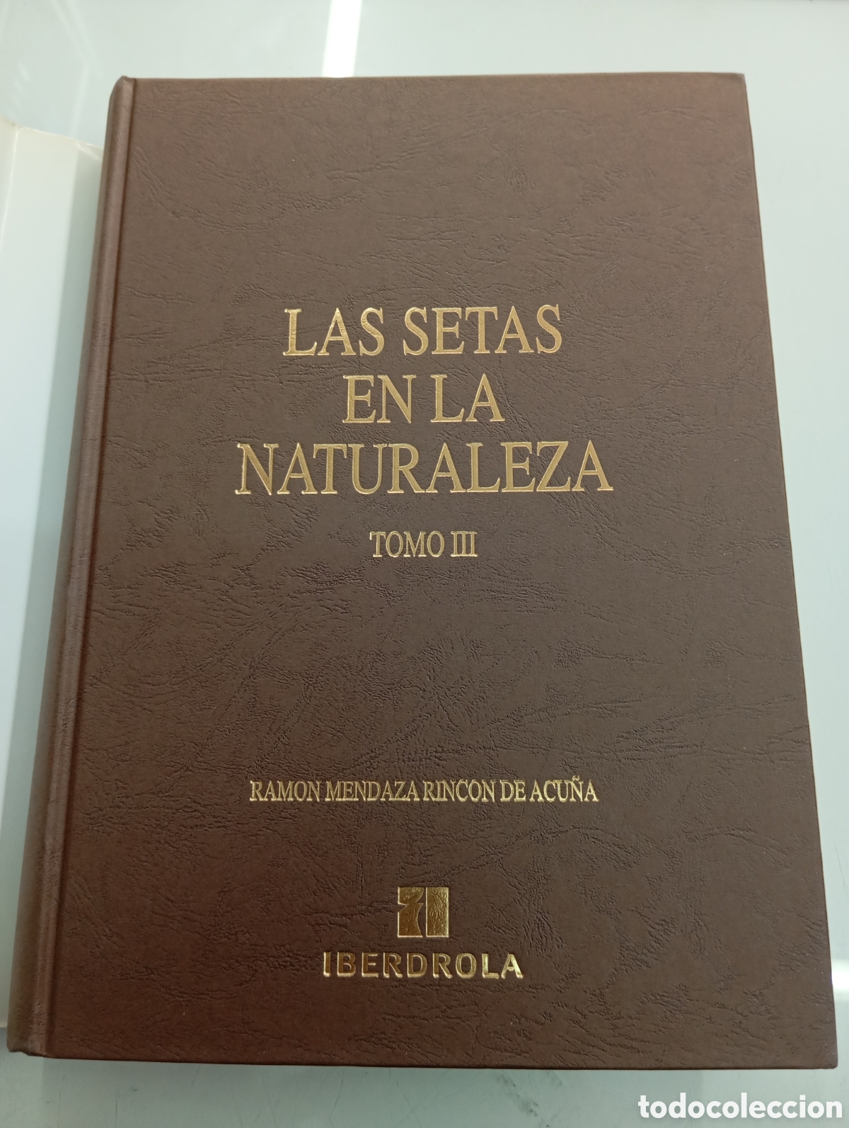 Libros de segunda mano: LAS SETAS EN LA NATURALEZA RAMON MENDAZA RINCON DE ACU&Ntilde;A IBERDROLA TOMO III BUEN ESTADO MICOLOGIA