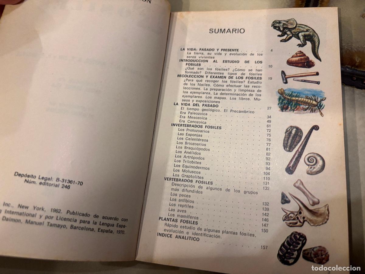Libros de segunda mano: F&oacute;siles. Peque&ntilde;a biblioteca Daimon. PEDIDO M&Iacute;NIMO 5&euro; - Foto 3