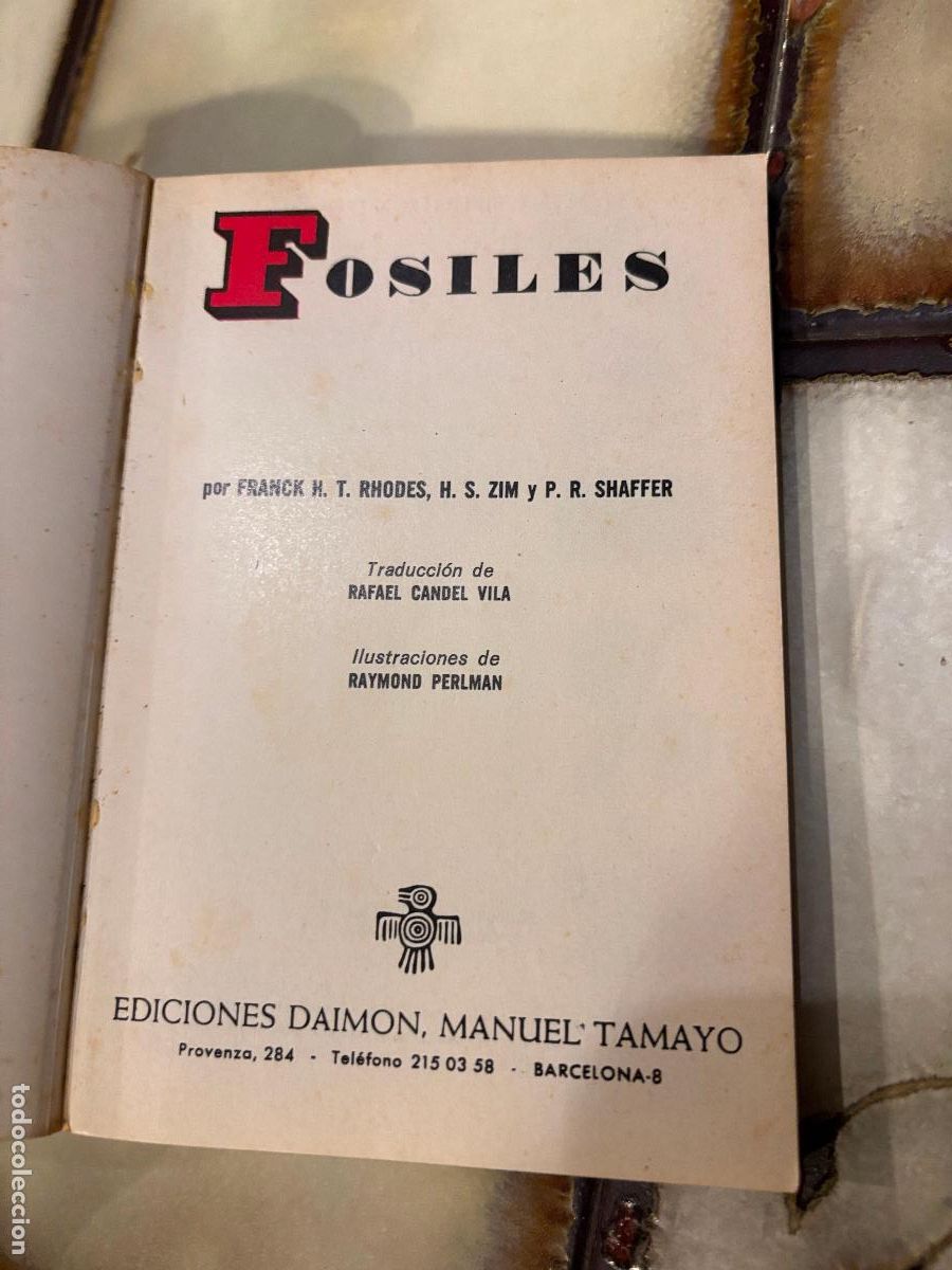 Libros de segunda mano: F&oacute;siles. Peque&ntilde;a biblioteca Daimon. PEDIDO M&Iacute;NIMO 5&euro; - Foto 4
