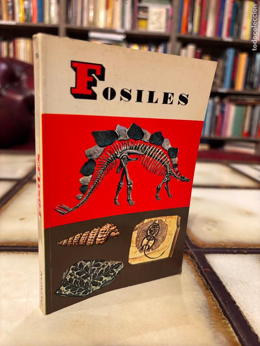 Libros de segunda mano: F&oacute;siles. Peque&ntilde;a biblioteca Daimon. PEDIDO M&Iacute;NIMO 5&euro; - Foto 1