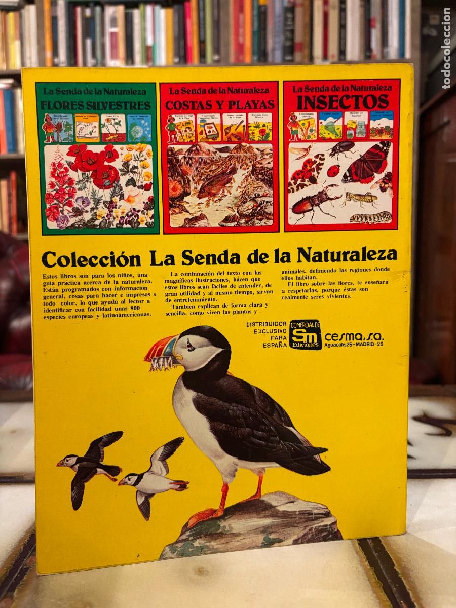 Libros de segunda mano: P&aacute;jaros. La Senda de la Naturaleza. - Foto 2