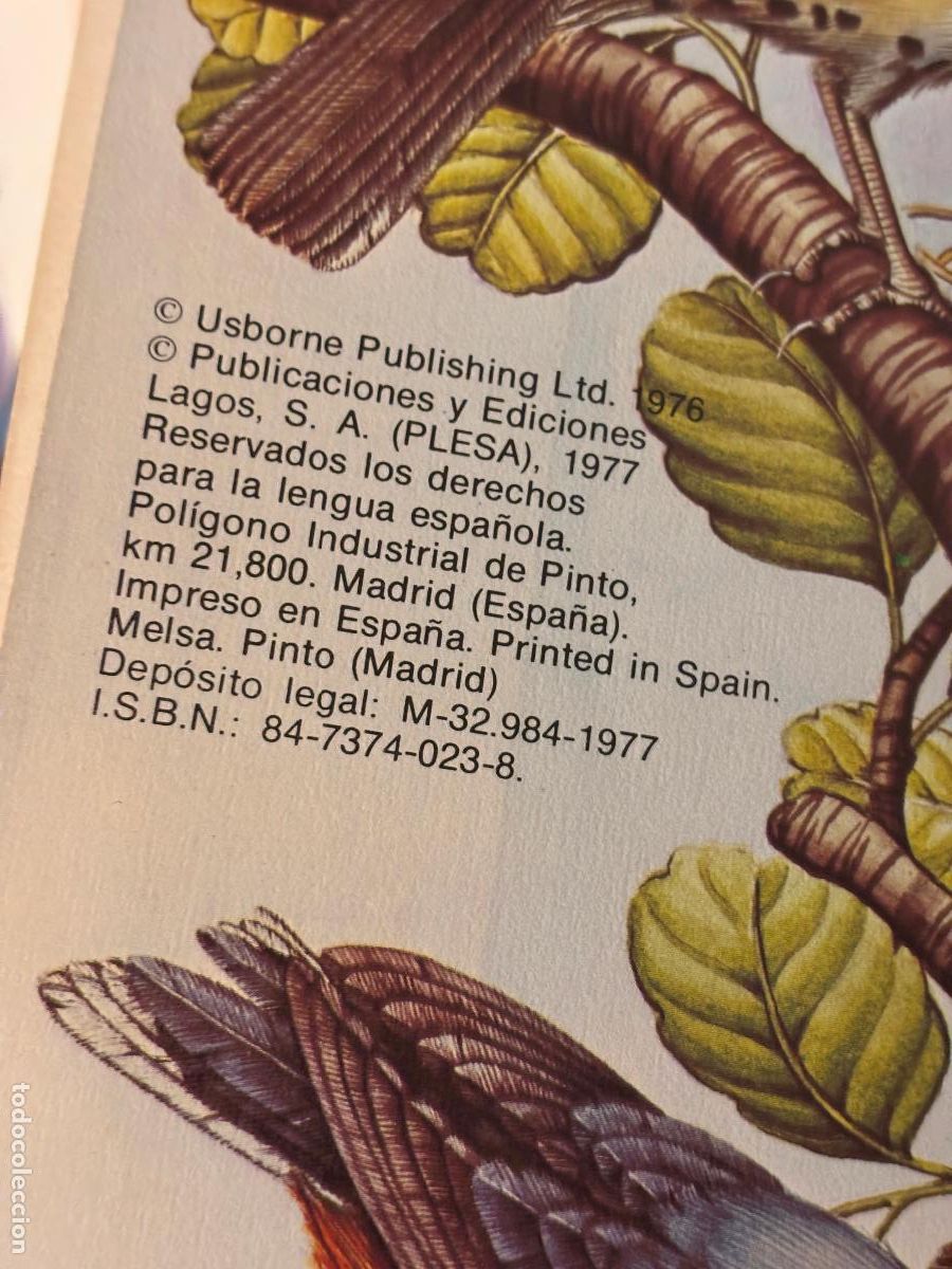Libros de segunda mano: P&aacute;jaros. La Senda de la Naturaleza. - Foto 3