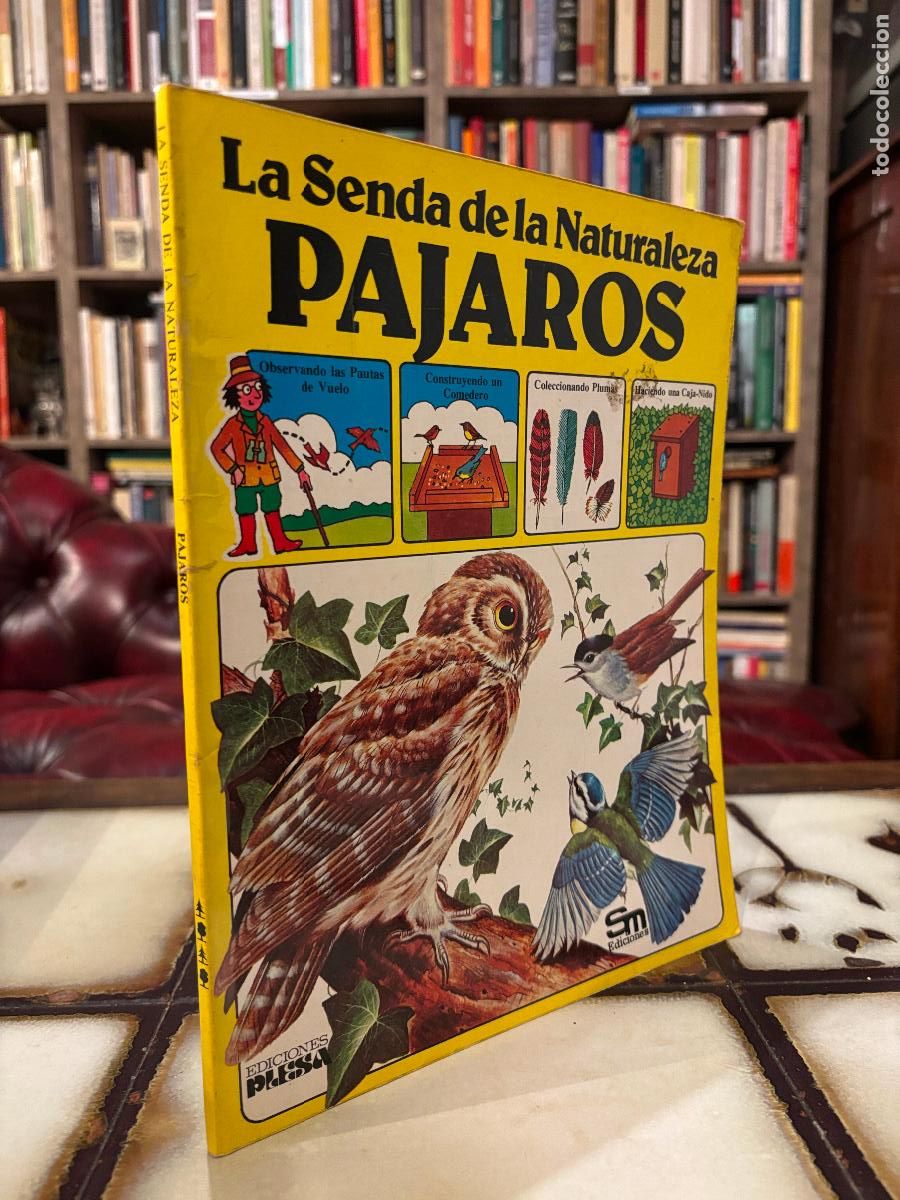 Libros de segunda mano: P&aacute;jaros. La Senda de la Naturaleza. - Foto 1