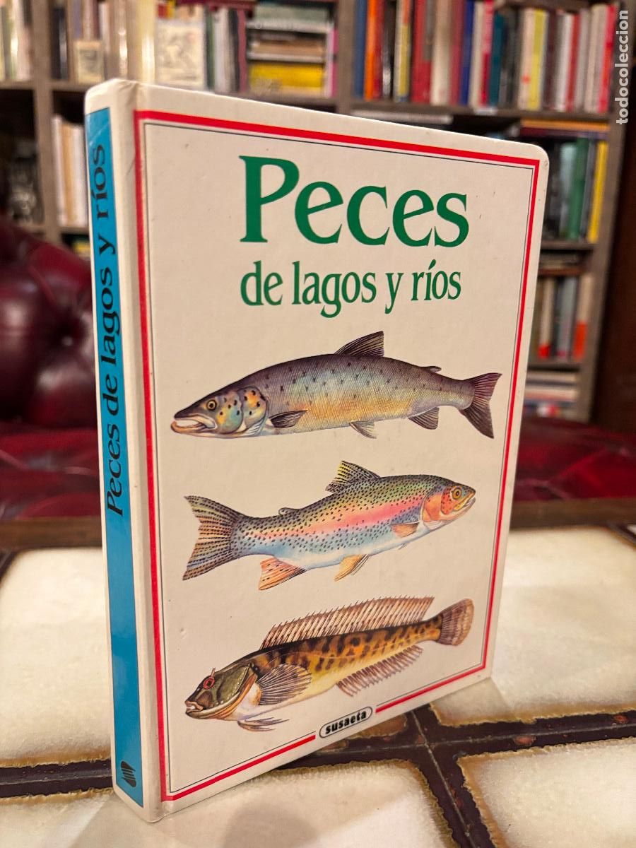 Libros de segunda mano: Peces de lagos y r&iacute;os. Susaeta - Foto 1