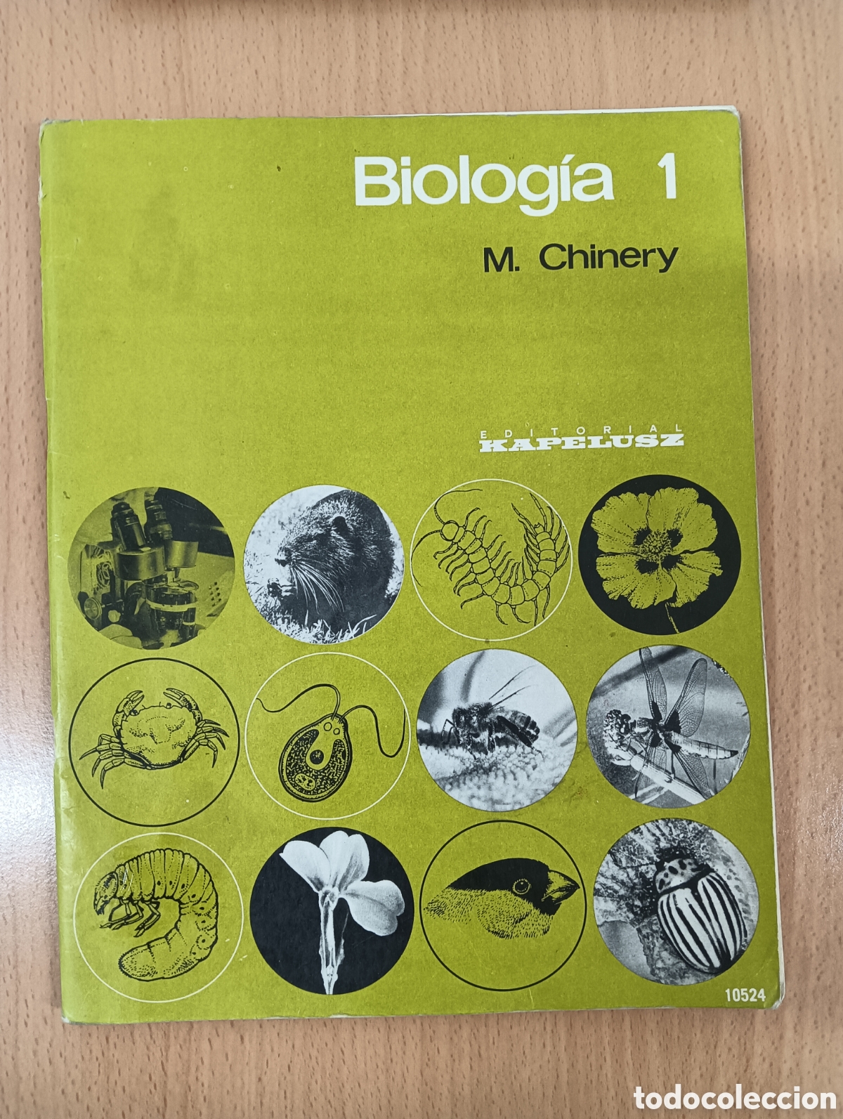 Libros de segunda mano: Biolog&iacute;a. M. Chinery. Editorial kapelusz - Foto 3