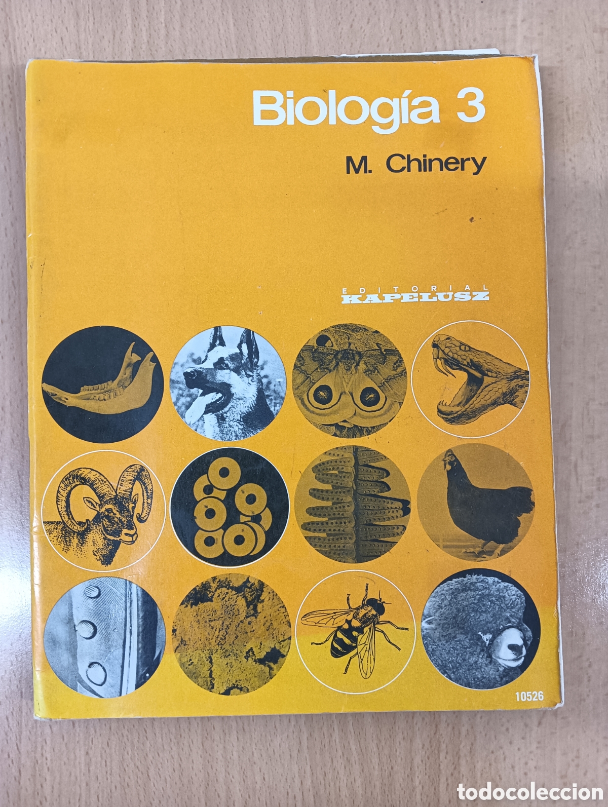 Libros de segunda mano: Biolog&iacute;a. M. Chinery. Editorial kapelusz - Foto 4