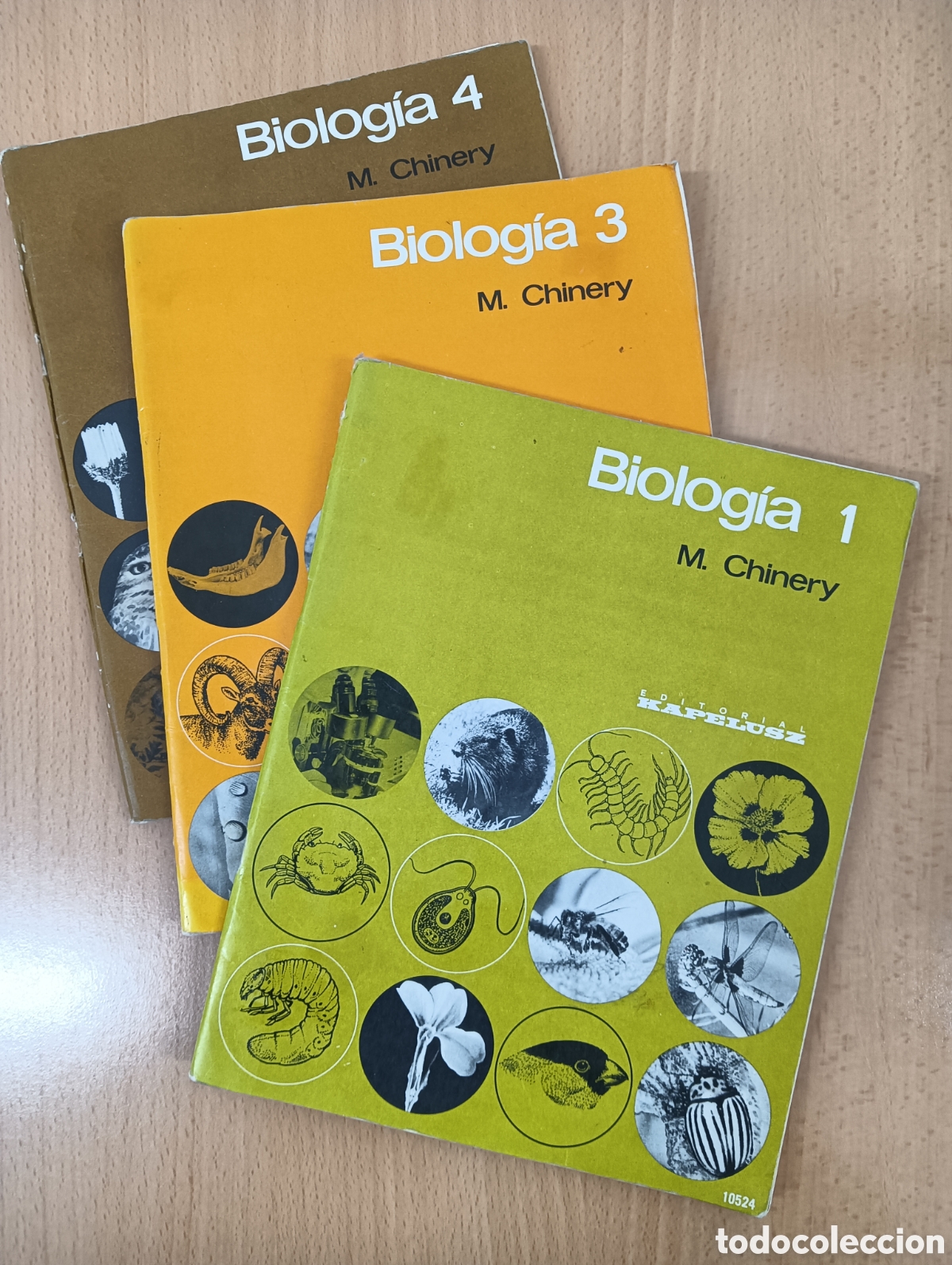 Libros de segunda mano: Biolog&iacute;a. M. Chinery. Editorial kapelusz - Foto 1