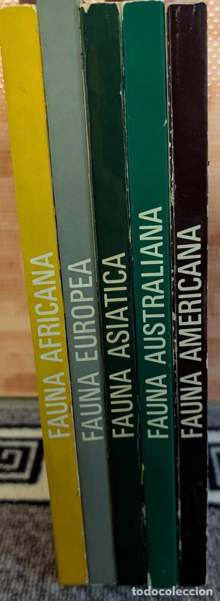 Libros de segunda mano: Fauna - Area 5 - 5 tomos - Timun Mas (1975) &iexcl;Colecci&oacute;n completa! - Foto 2