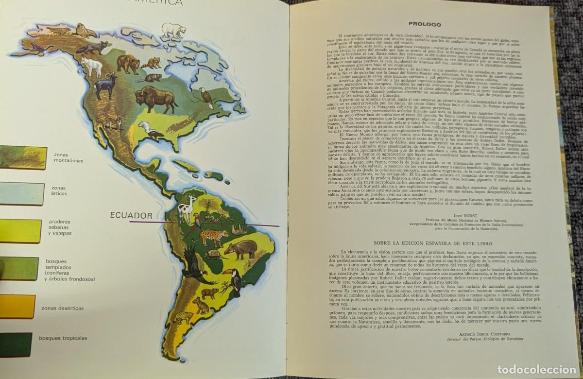 Libros de segunda mano: Fauna - Area 5 - 5 tomos - Timun Mas (1975) &iexcl;Colecci&oacute;n completa! - Foto 3