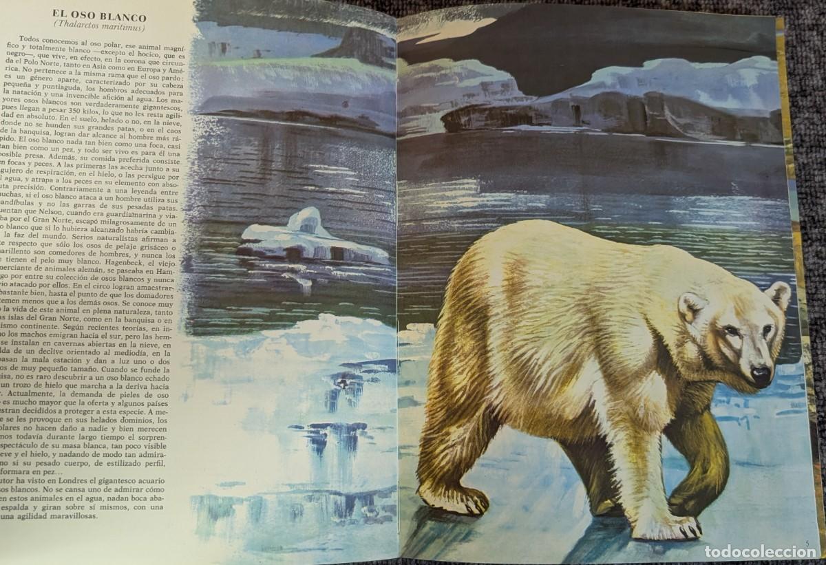 Libros de segunda mano: Fauna - Area 5 - 5 tomos - Timun Mas (1975) &iexcl;Colecci&oacute;n completa! - Foto 4